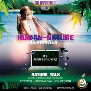 LESELI Experience