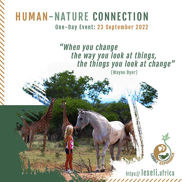 Leseli Experience