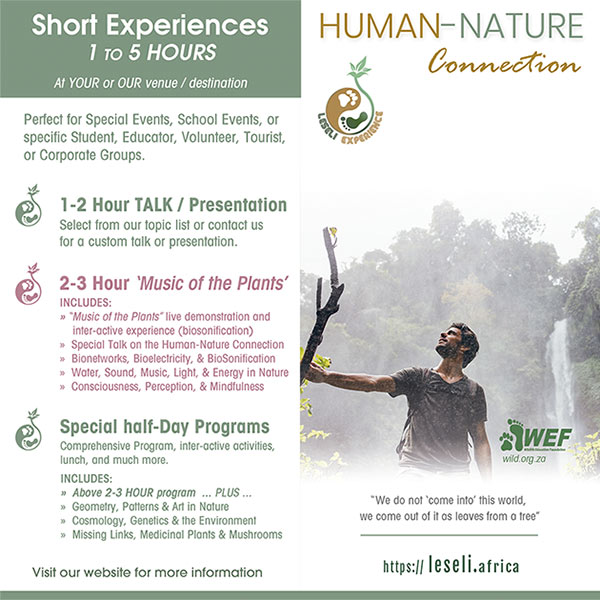 LESELI Experience