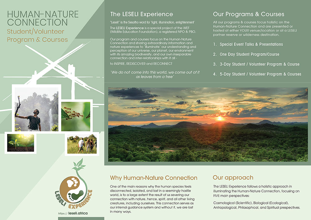 LESELI Experience