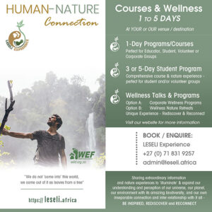 LESELI Experience
