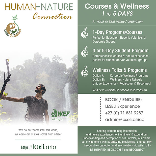 LESELI Experience