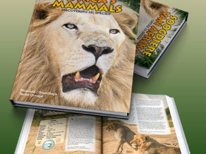 Africa's Mammals