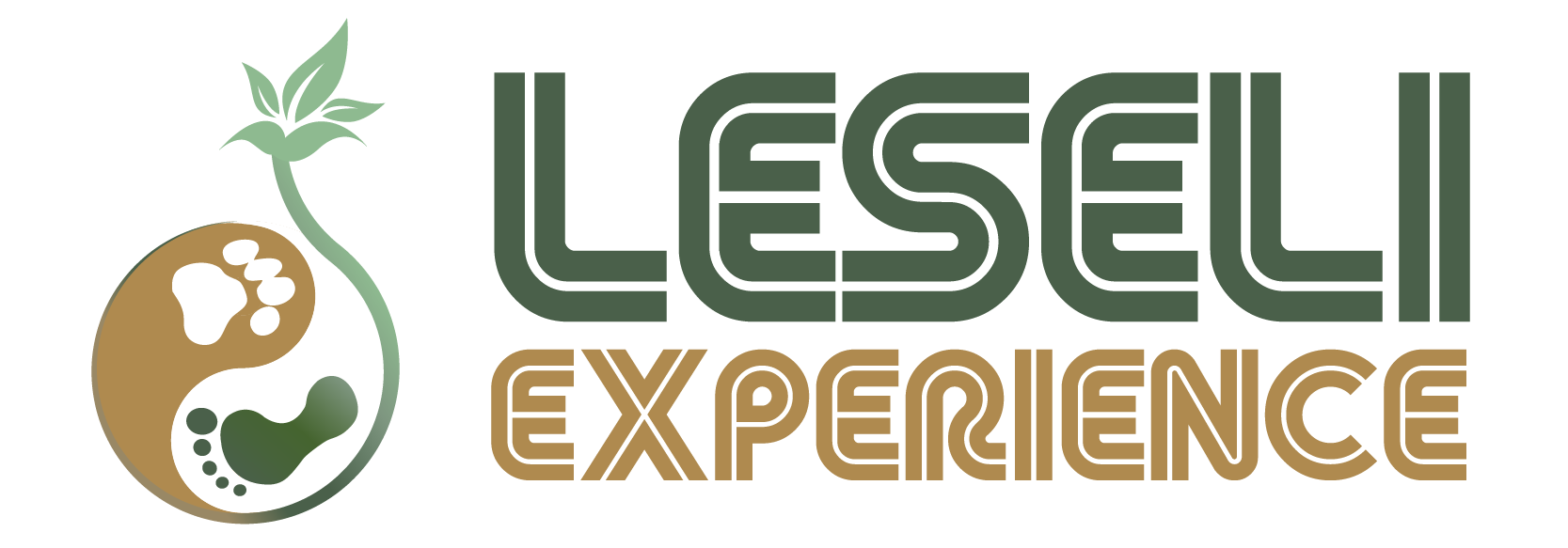 LESELI Experience