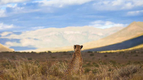 Consciousness is our awareness or perception of ourselves, and our environment Leseli Experience
