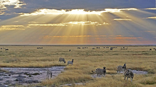 Leseli Experience Leseli Experience