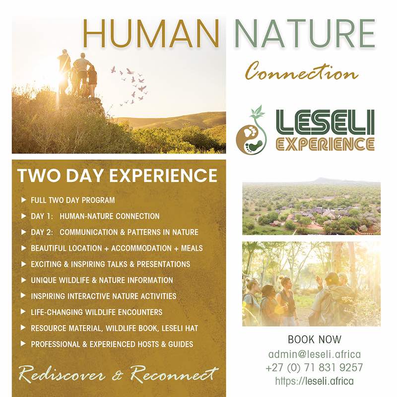 Leseli Experience