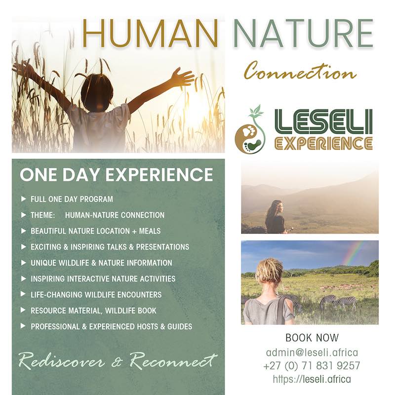 Leseli Experience
