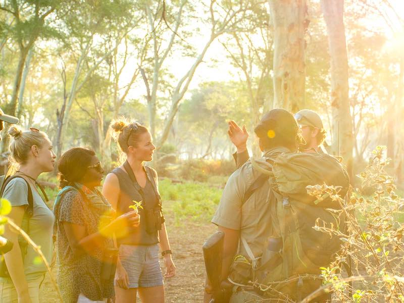 Leseli Experience