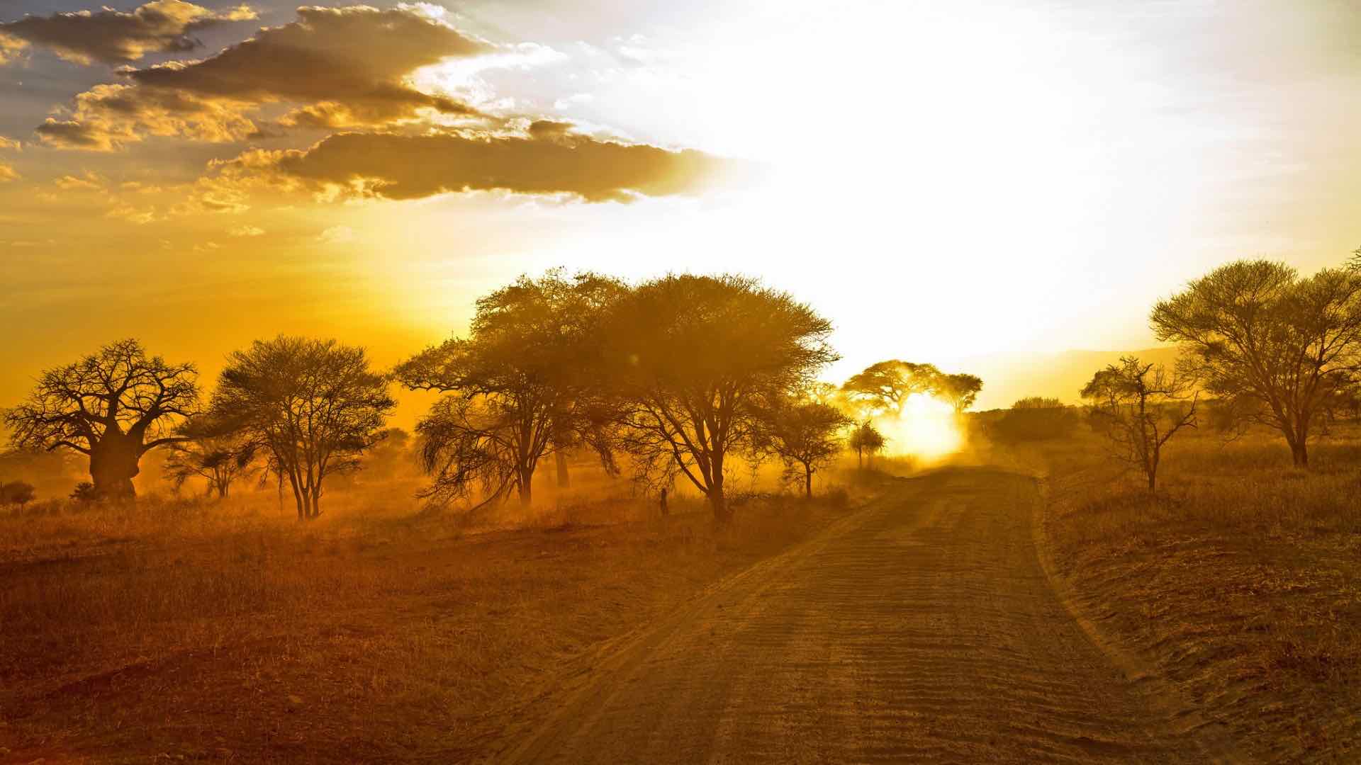 Leseli Experience