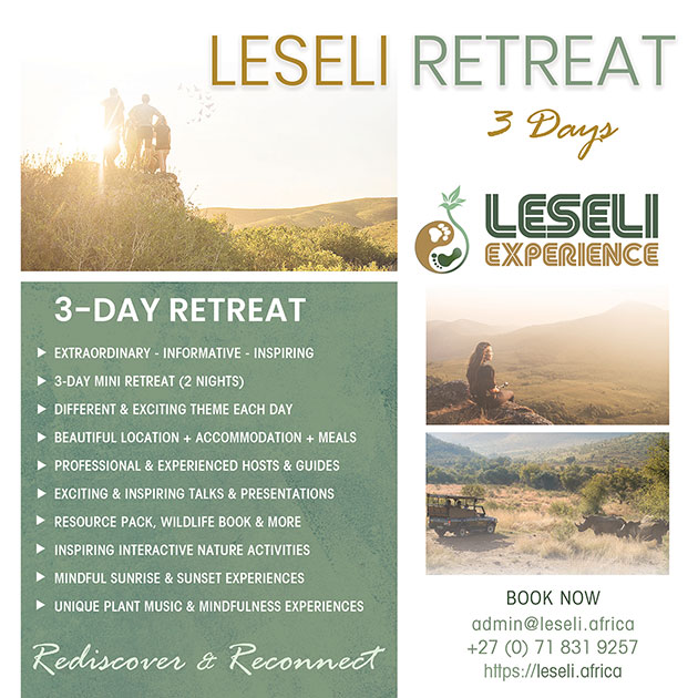LESELI Experience
