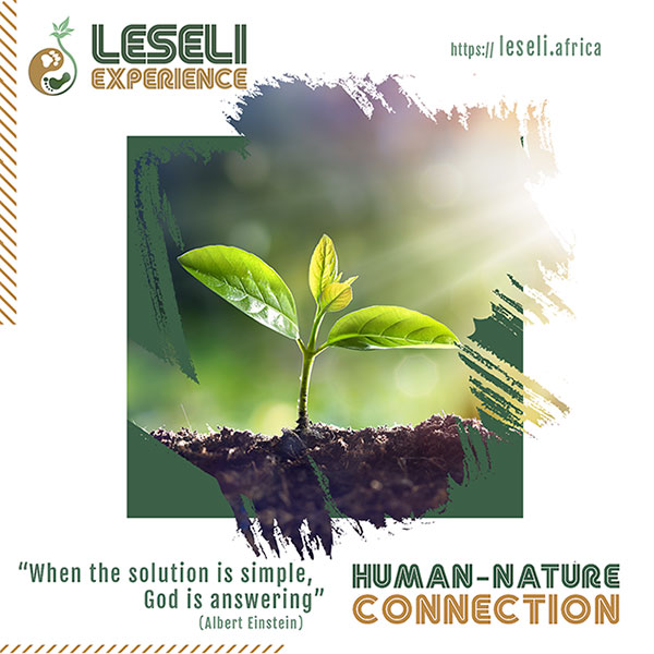 Leseli Experience