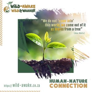 Wild-Awake