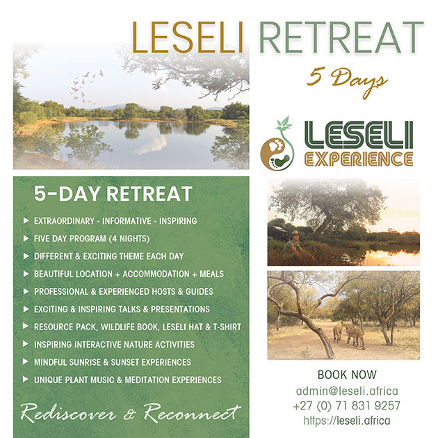 LESELI Experience