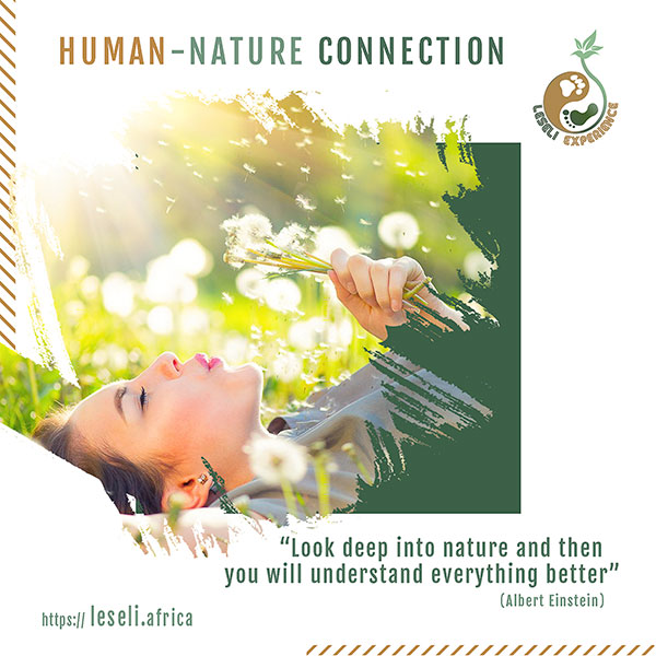 Leseli Experience