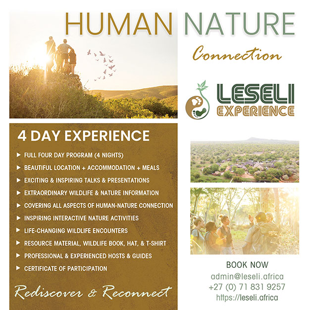 Leseli Experience