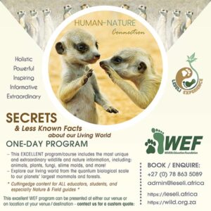 Human-Nature Connection
