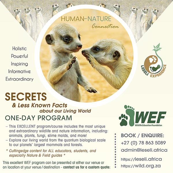 Human-Nature Connection