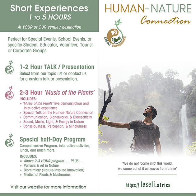 LESELI Experience