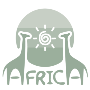 LESELI Experience