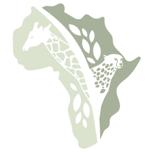 LESELI Experience