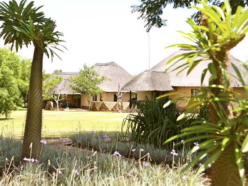 Leseli Experience