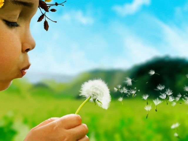 Wildlife Education Foundation (WEF)