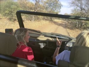 Game Drive