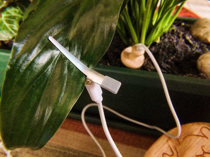 LESELI Plantmusic