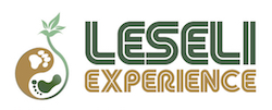 LESELI Experience