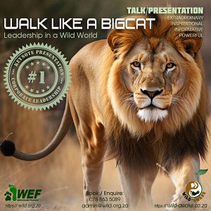 Wild-Awake