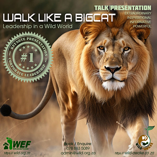Wild-Awake