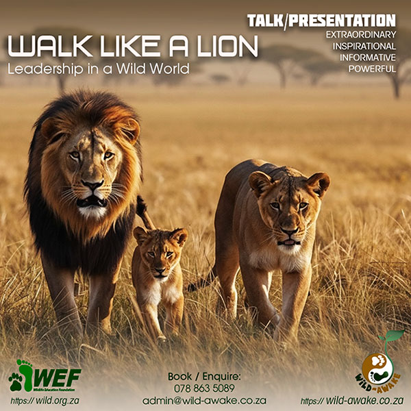 Wild-Awake