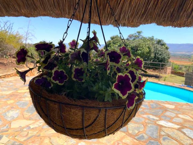 Magalies Wellness Centre