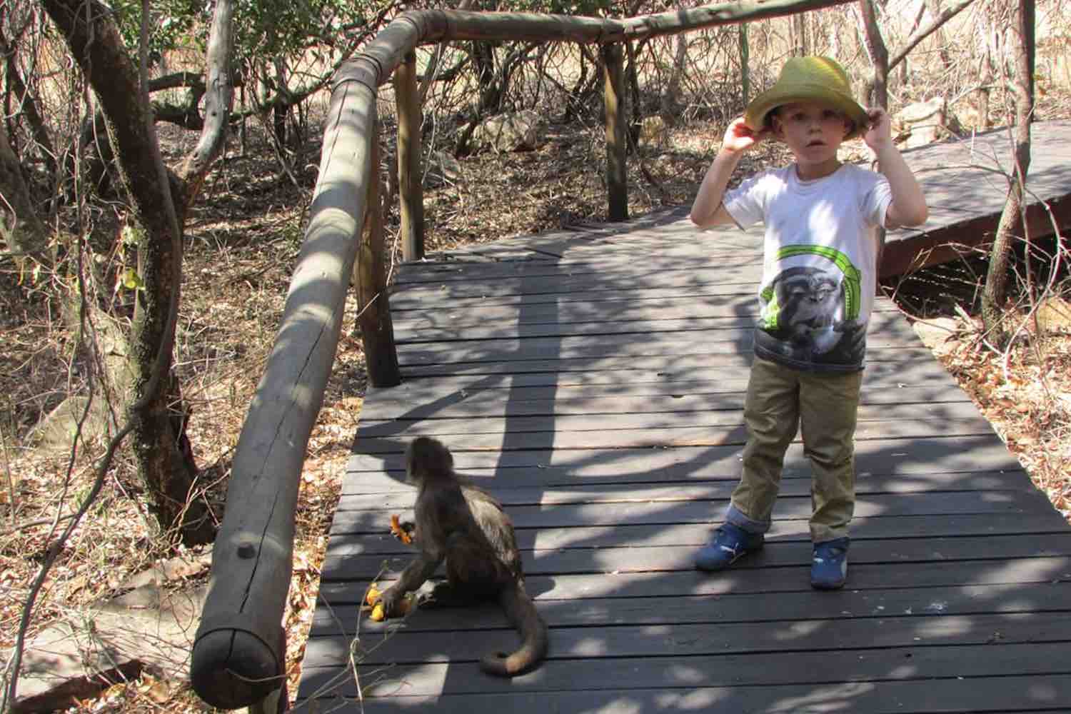 Monkey sanctuary