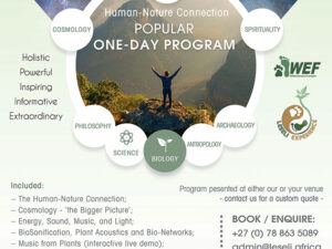 LESELI Experience