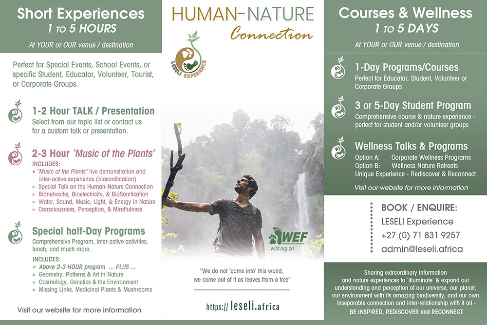 LESELI Experience