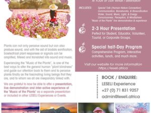 LESELI Experience