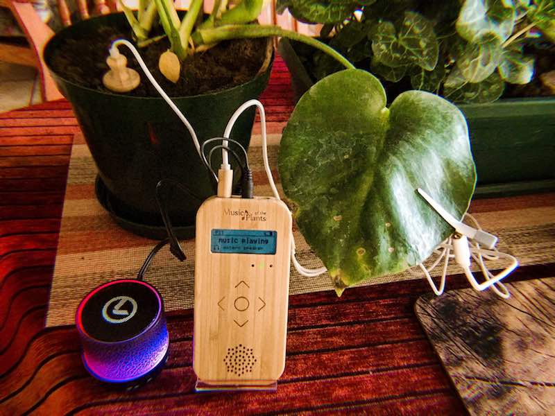 LESELI Plantmusic