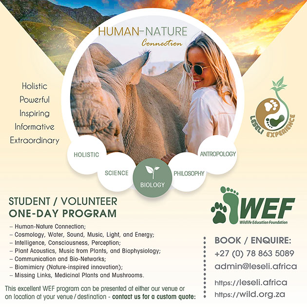 LESELI Experience