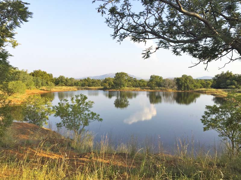 Leseli Experience
