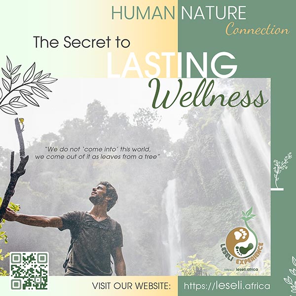 LESELI Experience